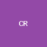 Circle Internet Group (bStocks